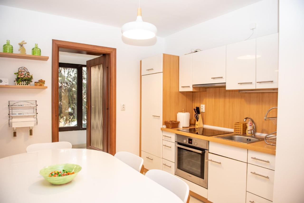 Classic Apartment Near The City Center 클루지나포카 외부 사진