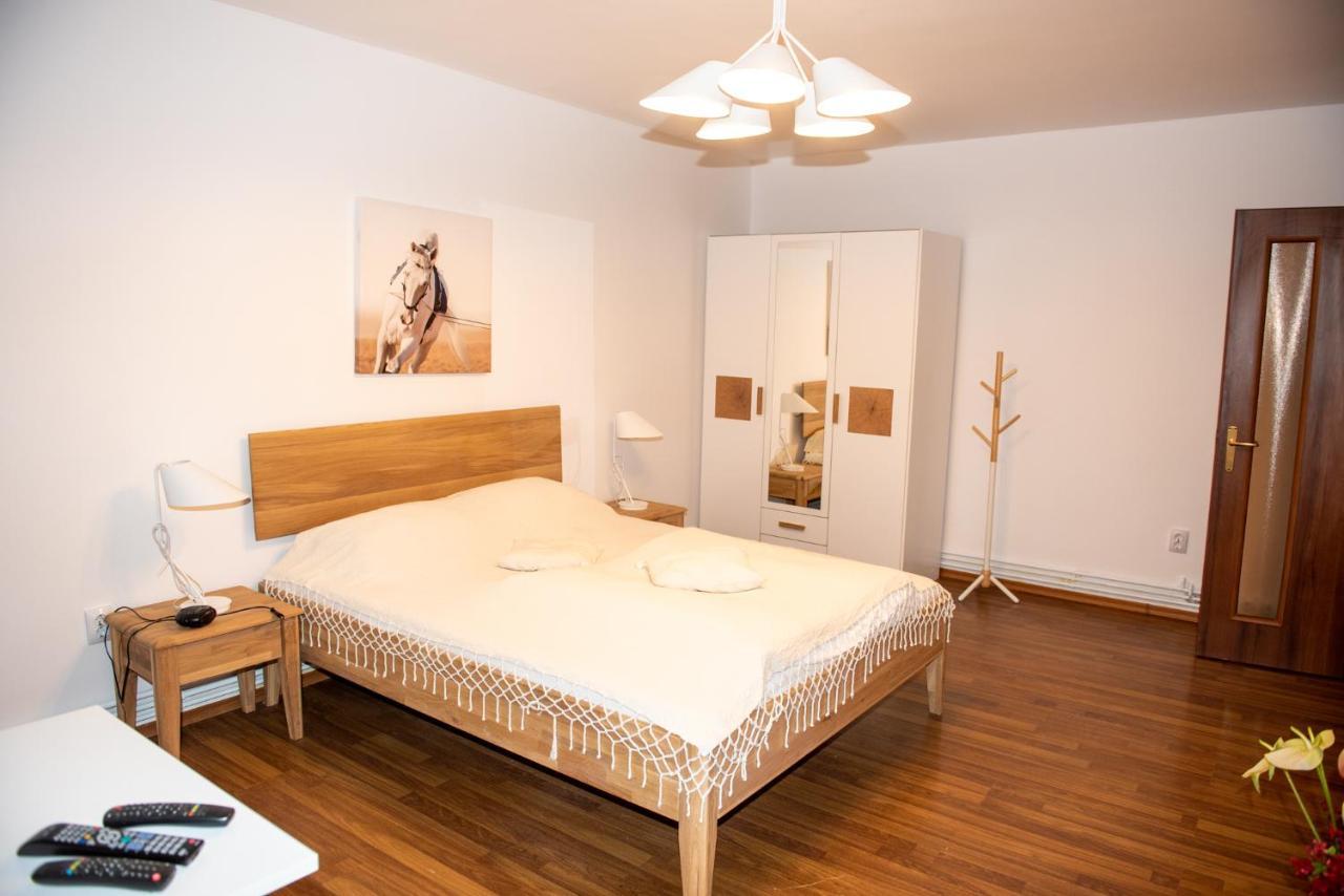Classic Apartment Near The City Center 클루지나포카 외부 사진